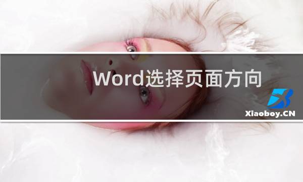 Word选择页面方向