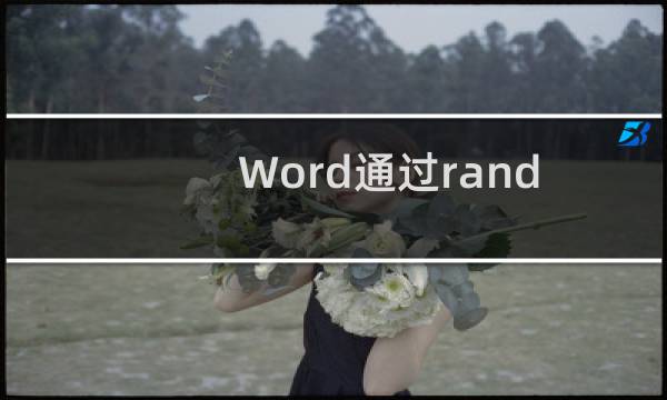 Word通过rand函数随机输入指定段落、句数文字