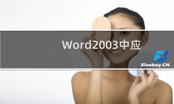 Word2003中应该如何隐藏和显示文字