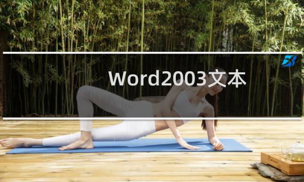 Word2003文本框如何任意旋转