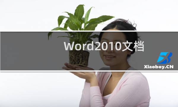 Word2010文档中使用\