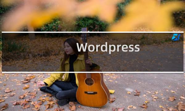 Wordpress 3.5版本怎么修改上传图片路径
