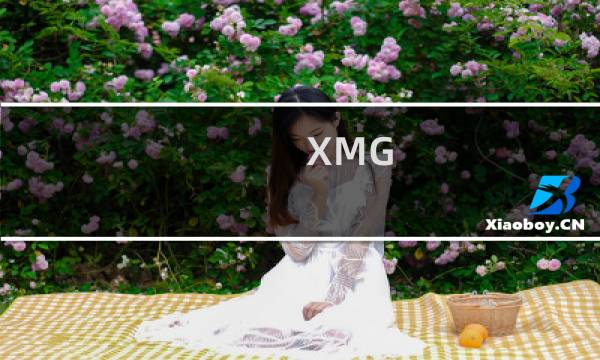 XMG 的 Apex 15 MAX 笔记本电脑升级到锐龙 5000X 处理器和 240Hz 显示屏