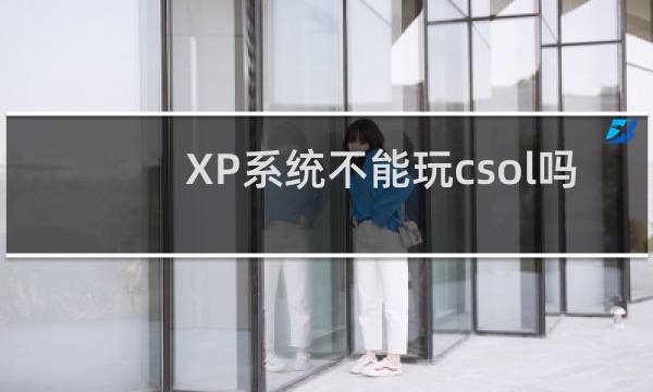 XP系统不能玩csol吗