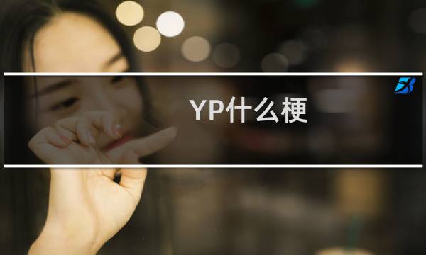 YP什么梗