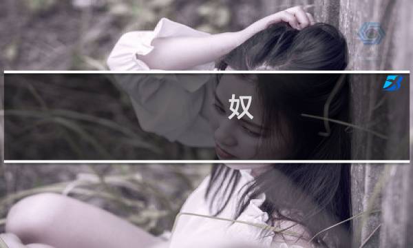 _奴 攻略