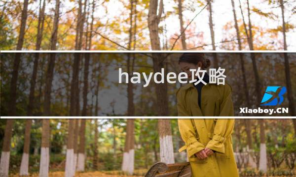 _haydee攻略