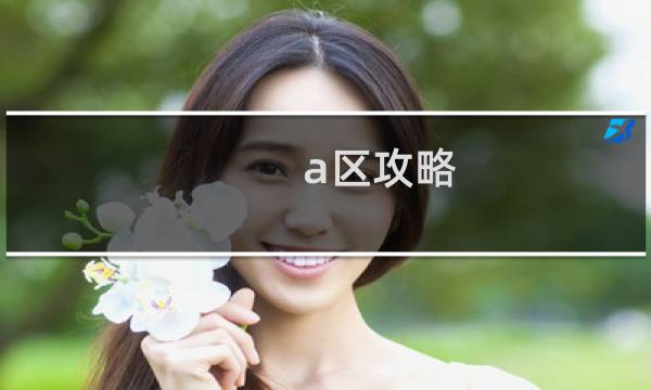 a区攻略