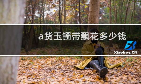 a货玉镯带飘花多少钱