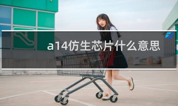 a14仿生芯片什么意思