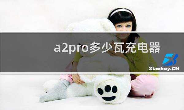 a2pro多少瓦充电器