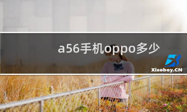 a56手机oppo多少钱官网