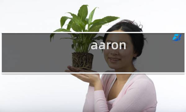 aaron paul 最终幻想