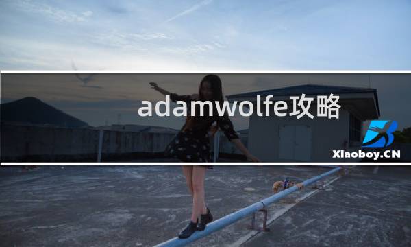 adamwolfe攻略 视频