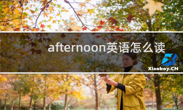 afternoon英语怎么读