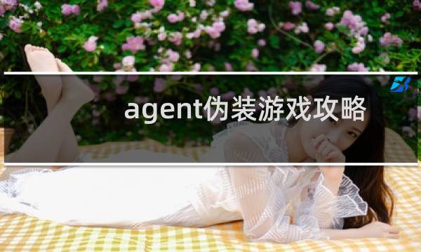 agent伪装游戏攻略