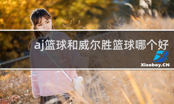 aj篮球和威尔胜篮球哪个好