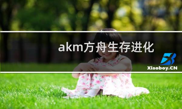 akm方舟生存进化