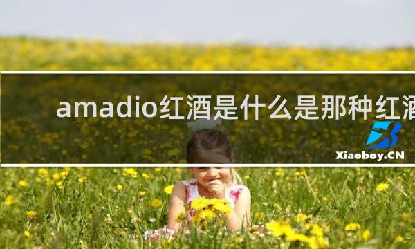 amadio红酒是什么是那种红酒