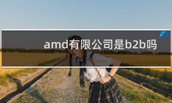 amd有限公司是b2b吗