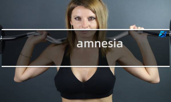 amnesia 攻略