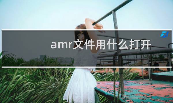 amr文件用什么打开（怎样打开）图片