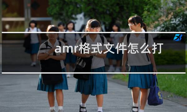 amr格式文件怎么打开（AMR是什么类型文件，amr用什么打开）图片