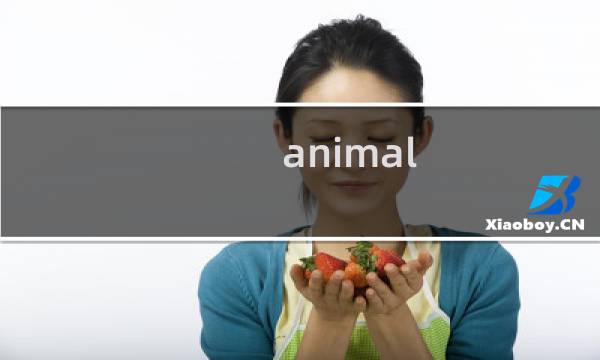 animal rain攻略