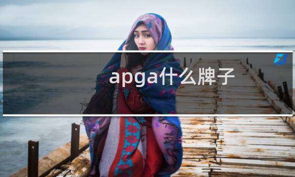 apga什么牌子(APAJIA品牌的中文名是什么)