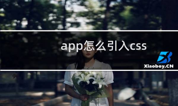 app怎么引入css