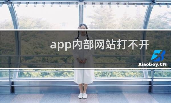 app内部网站打不开-虚拟主机/数据库问题