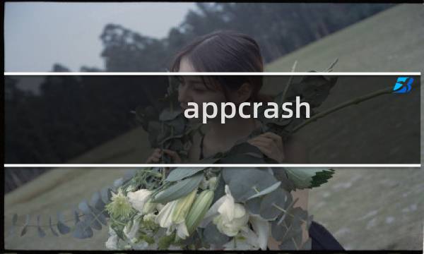 appcrash图片
