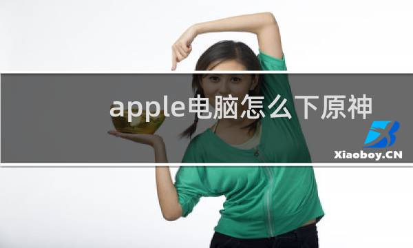 apple电脑怎么下原神