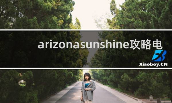 arizonasunshine攻略电