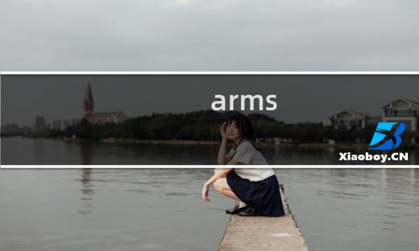 arms minmin 攻略
