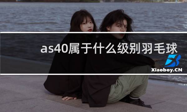 as40属于什么级别羽毛球