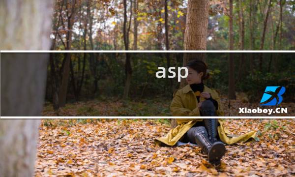 asp.net的版本过新，导致无法正常浏览网站