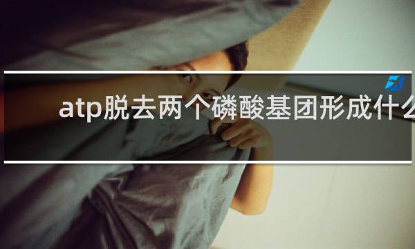 atp脱去两个磷酸基团形成什么