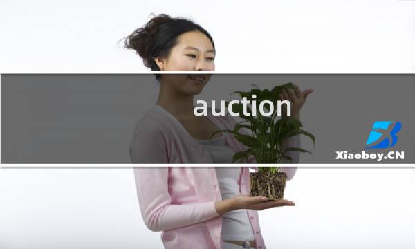 auction 攻略
