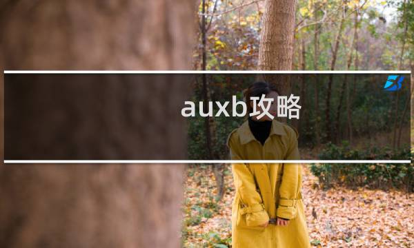 auxb攻略