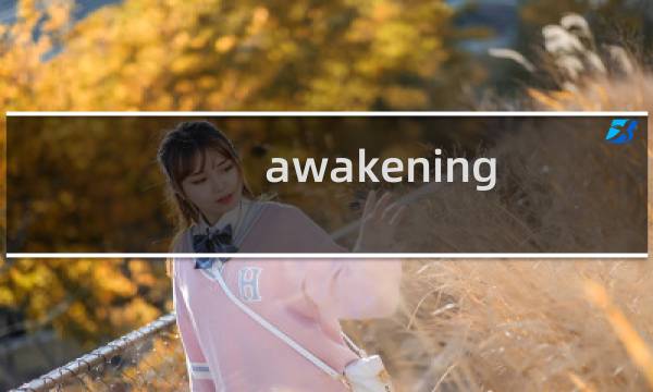 awakening 攻略