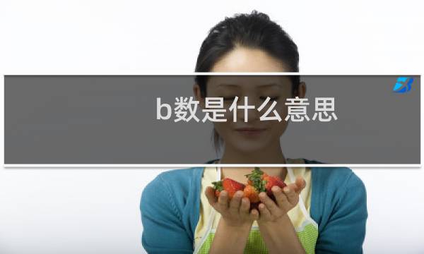 b数是什么意思
