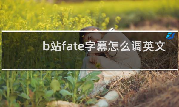 b站fate字幕怎么调英文