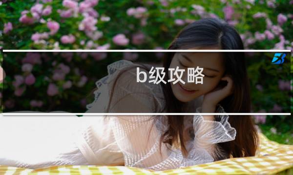 b级攻略