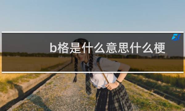 b格是什么意思什么梗