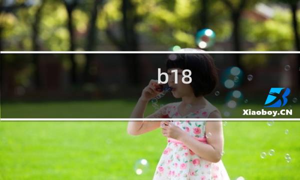 b18