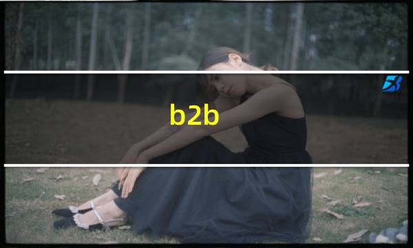 b2b 与b2b2c 区别