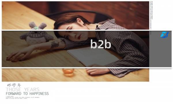 b2b 分析报告