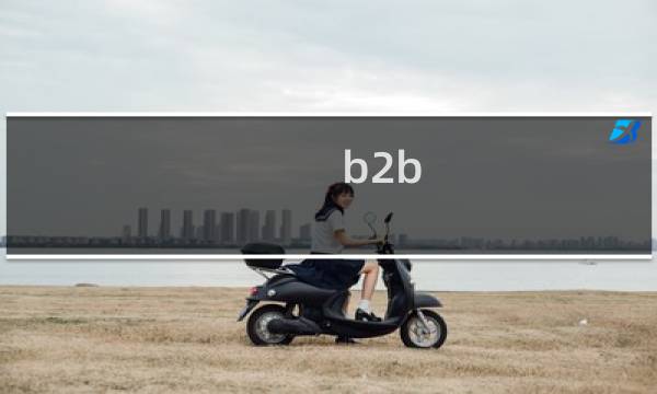 b2b 分销模式