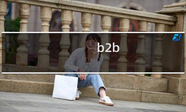 b2b 发展情况